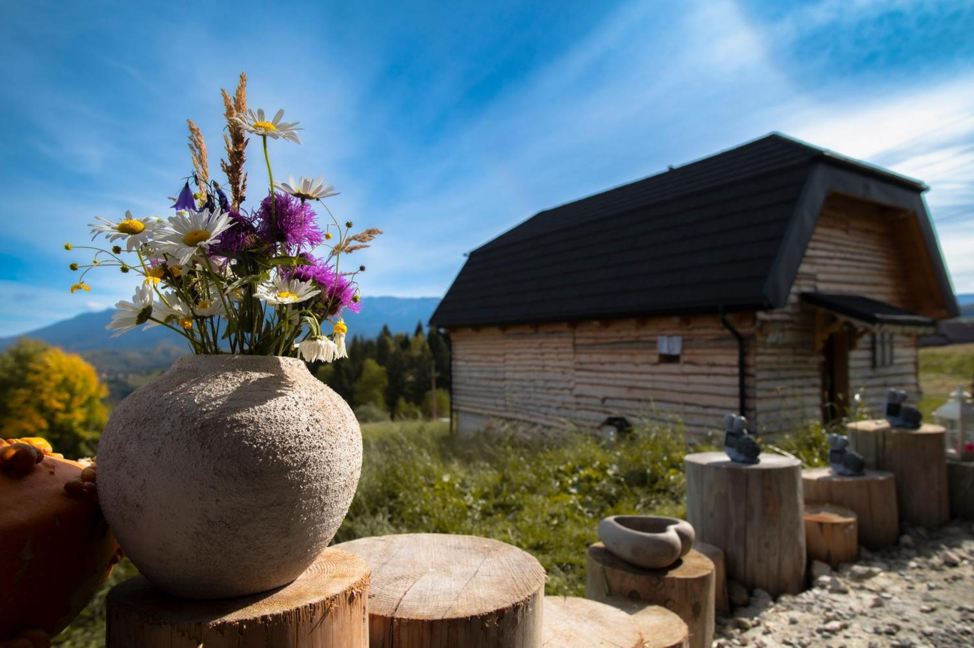 The Barn Villa Sirnea Kültér fotó