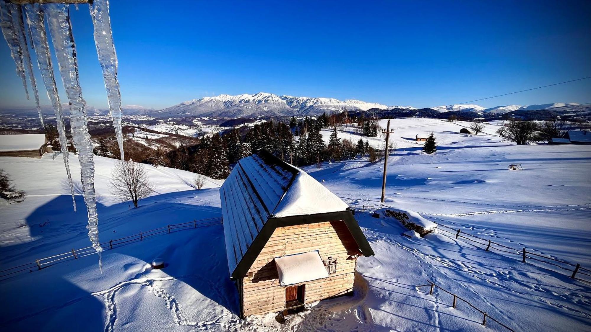 The Barn Villa Sirnea Kültér fotó