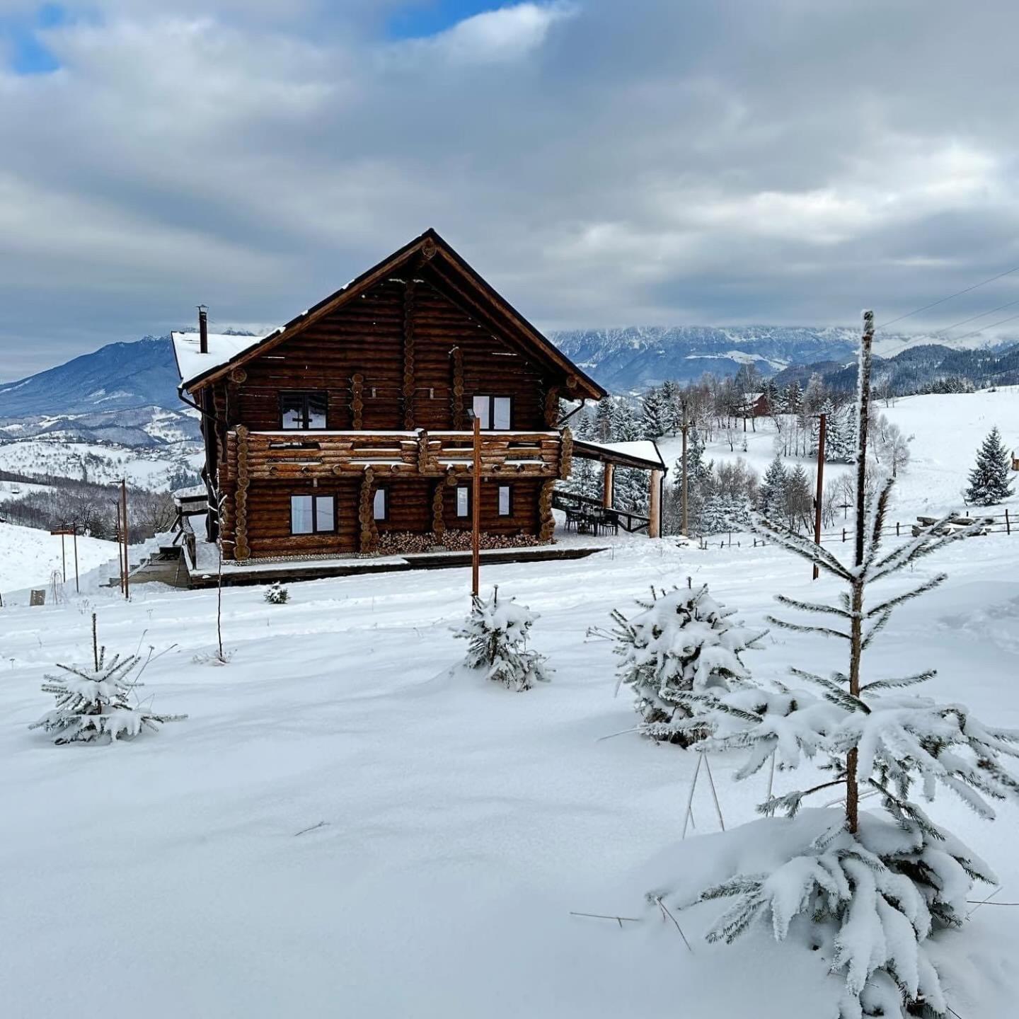 The Barn Villa Sirnea Kültér fotó