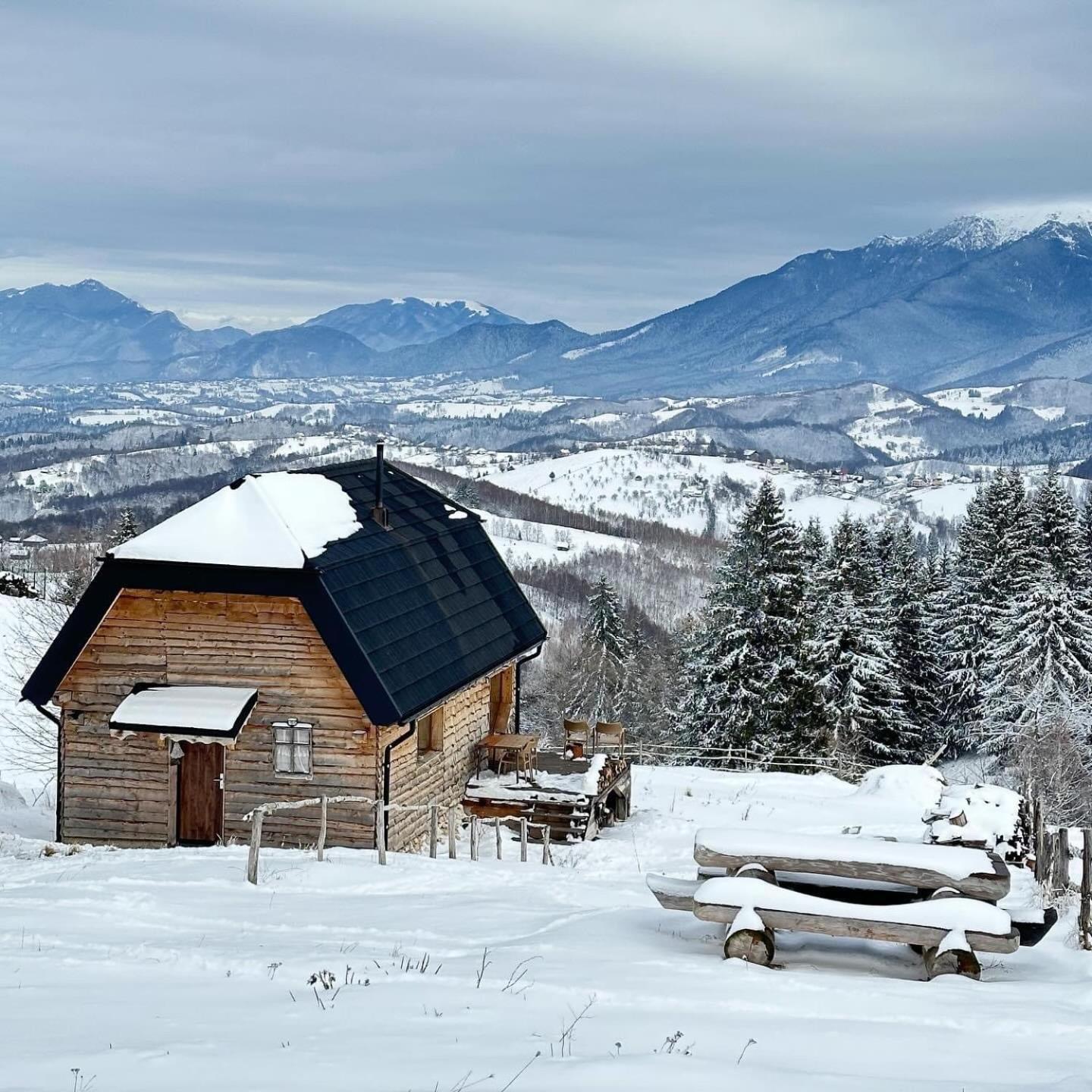 The Barn Villa Sirnea Kültér fotó
