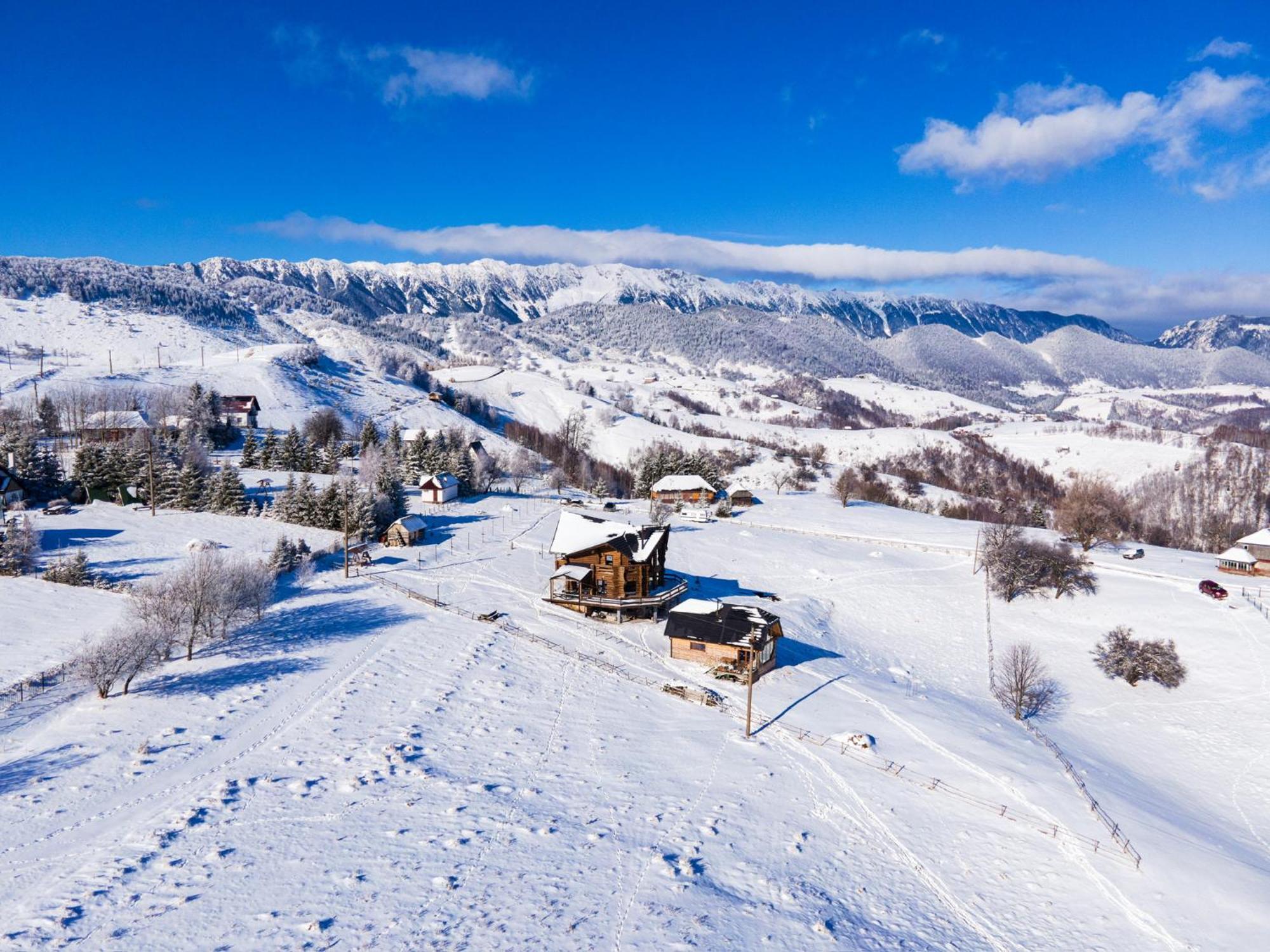 The Barn Villa Sirnea Kültér fotó