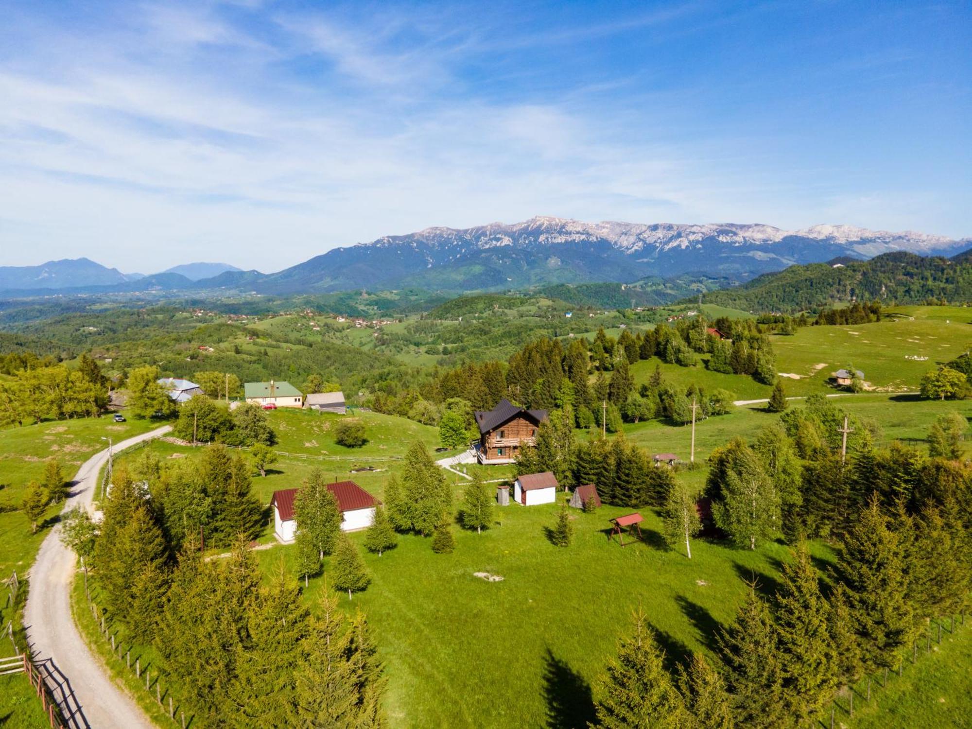 The Barn Villa Sirnea Kültér fotó